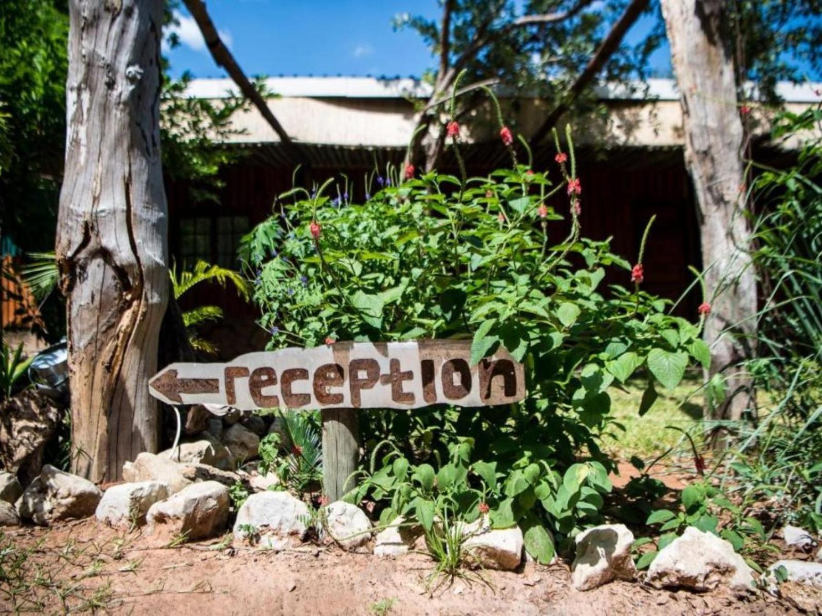 Nxabii Cottages Kasane Exterior photo